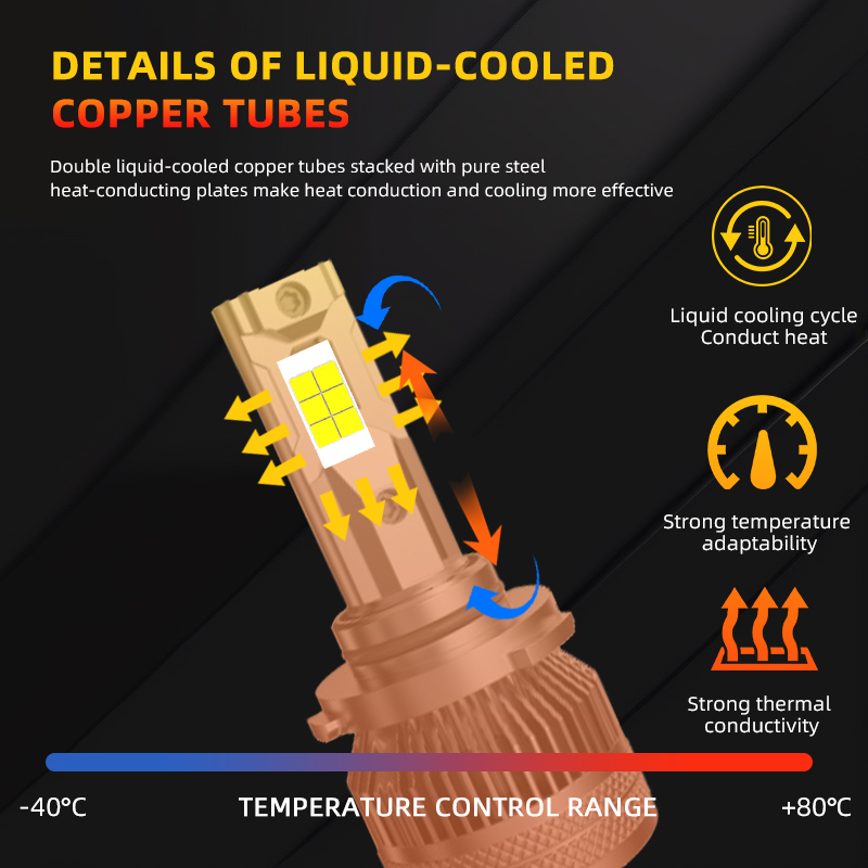 C31 主图 CN Auto 2